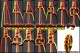 Tricolor Solomon V2 Tutorial