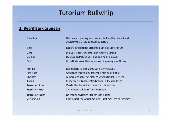 Tut Bullwhip Version 2-page-003