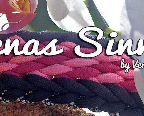 Renas Sinnet