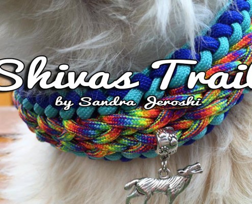 Shivas Trail
