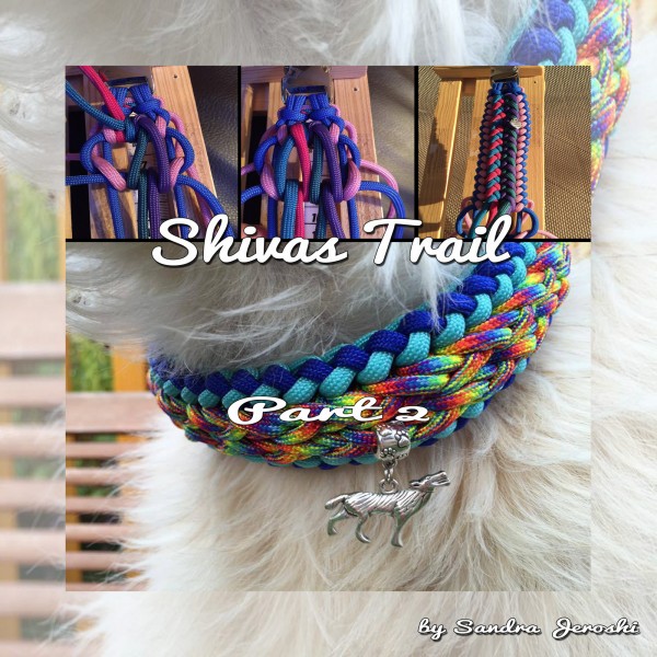 Shivas Trail