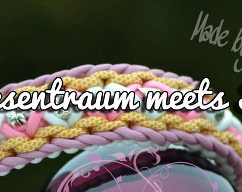 Friesentraum meets Shy