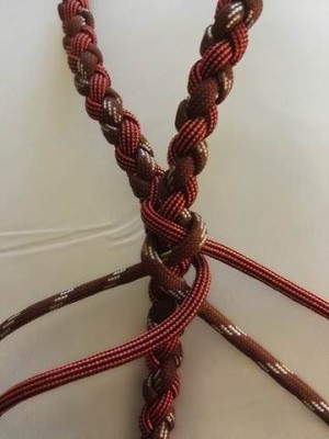 Ancol Halsband „Indulgence“ – Schokoladenmuster, Verstellbar 45–70 Cm