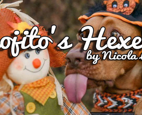 Mojito's Hexerei