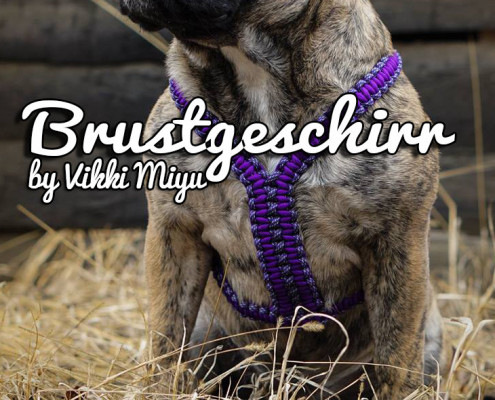Brustgeschirr