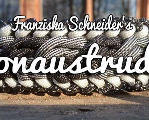 Donaustrudel