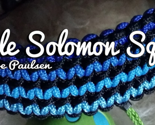 Double Solomon Squared