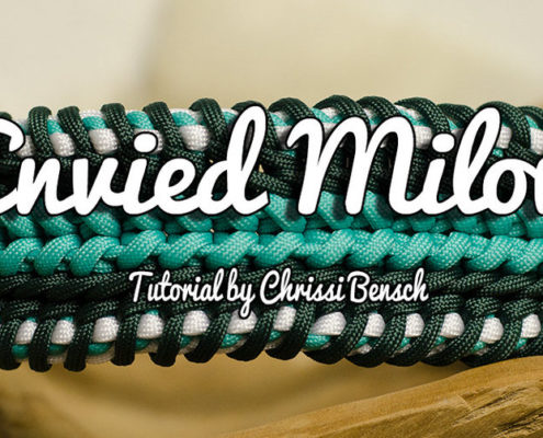 Envied Milow