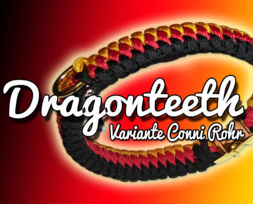 Connis Dragonteeth
