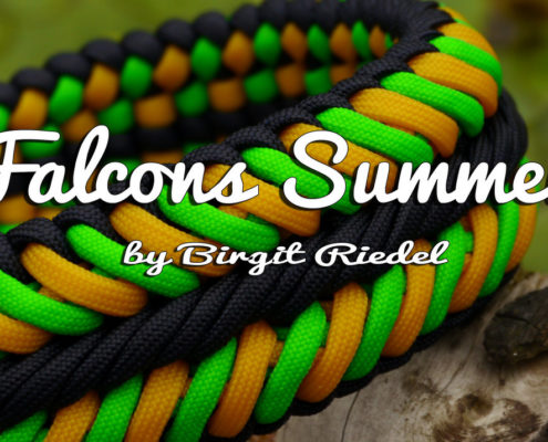 Falcons Summer