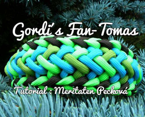 Gordi´s Fan-Tomas